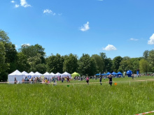 Teren Pikniku Rodzinnego. Na drugim planie drzewa Parku Jordana